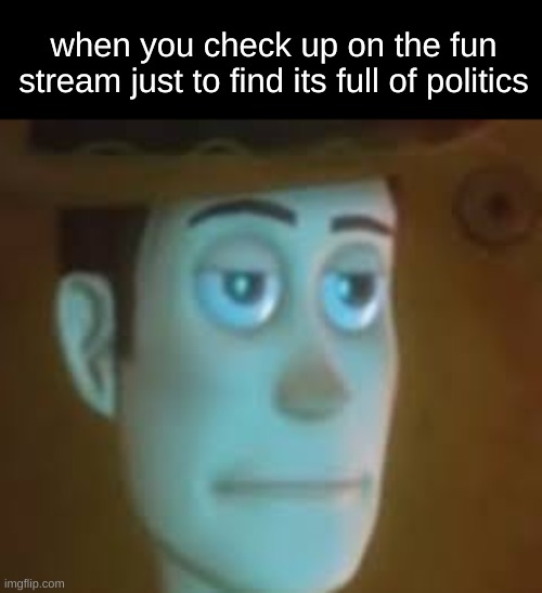 if I wanted to see memes about politics I'd go to the politics stream | when you check up on the fun stream just to find its full of politics | image tagged in disappointed woody | made w/ Imgflip meme maker