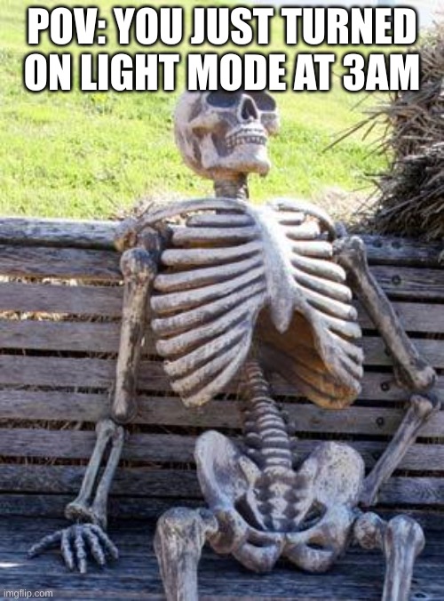 meme | POV: YOU JUST TURNED ON LIGHT MODE AT 3AM | image tagged in memes,waiting skeleton | made w/ Imgflip meme maker