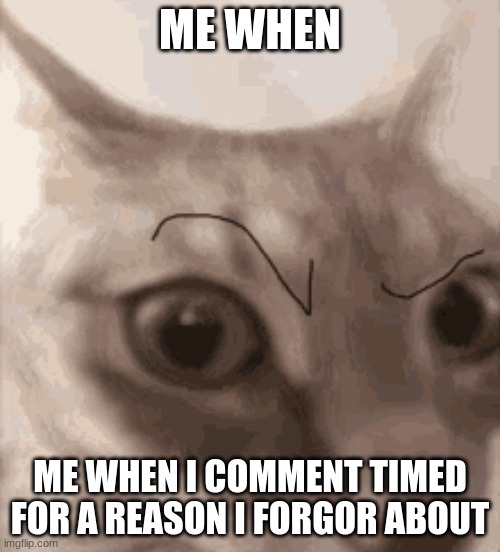 i dont know why im timed | ME WHEN; ME WHEN I COMMENT TIMED FOR A REASON I FORGOR ABOUT | made w/ Imgflip meme maker