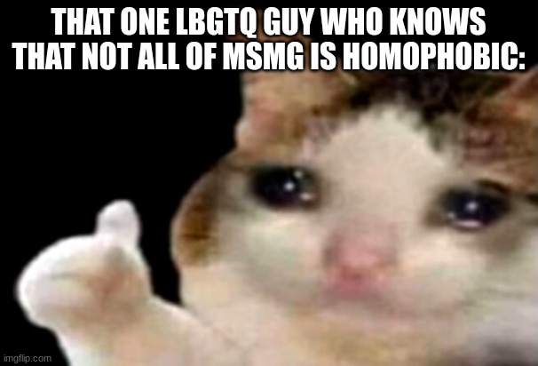 Sad cat thumbs up | THAT ONE LBGTQ GUY WHO KNOWS THAT NOT ALL OF MSMG IS HOMOPHOBIC: | image tagged in sad cat thumbs up | made w/ Imgflip meme maker