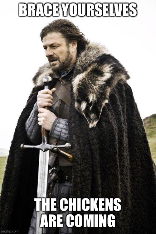 Brace Yourself | BRACE YOURSELVES; THE CHICKENS ARE COMING | image tagged in brace yourself | made w/ Imgflip meme maker