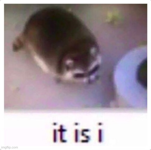 it is i | made w/ Imgflip meme maker