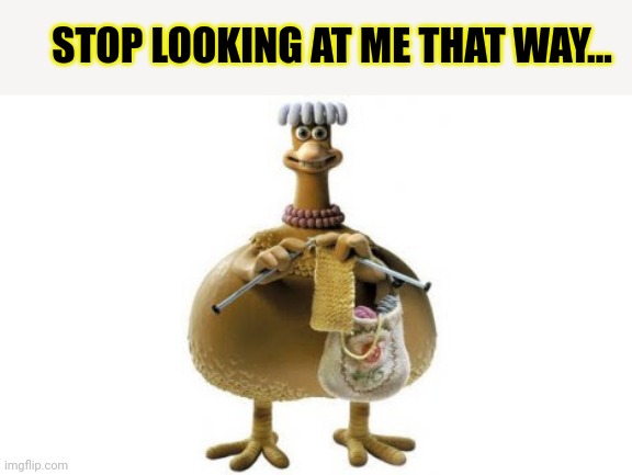 Chicken run | STOP LOOKING AT ME THAT WAY... | image tagged in chicken run | made w/ Imgflip meme maker