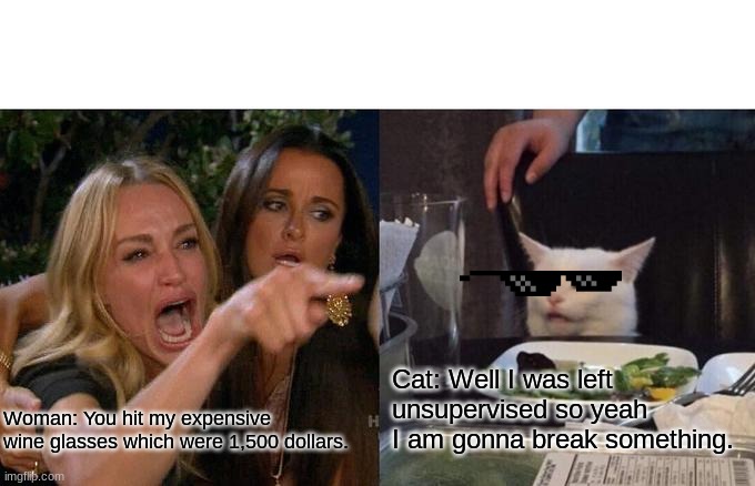 Woman Yelling At Cat Meme | Cat: Well I was left unsupervised so yeah I am gonna break something. Woman: You hit my expensive wine glasses which were 1,500 dollars. | image tagged in memes,funny | made w/ Imgflip meme maker