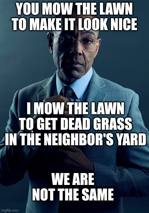 Gus Fring we are not the same | YOU MOW THE LAWN TO MAKE IT LOOK NICE; I MOW THE LAWN TO GET DEAD GRASS IN THE NEIGHBOR'S YARD; WE ARE NOT THE SAME | image tagged in gus fring we are not the same | made w/ Imgflip meme maker