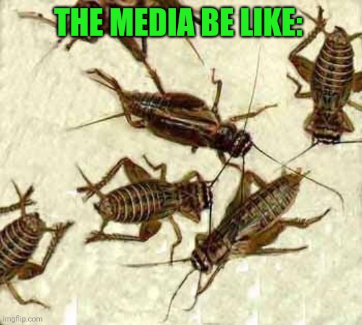 Crickets | THE MEDIA BE LIKE: | image tagged in crickets | made w/ Imgflip meme maker