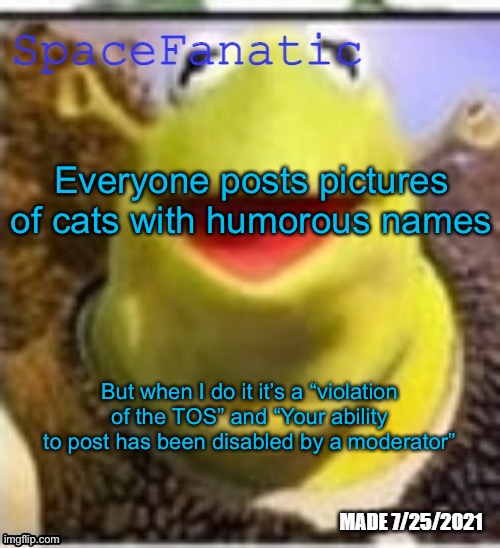 Ye Olde Announcements | Everyone posts pictures of cats with humorous names; But when I do it it’s a “violation of the TOS” and “Your ability to post has been disabled by a moderator” | image tagged in spacefanatic announcement temp | made w/ Imgflip meme maker