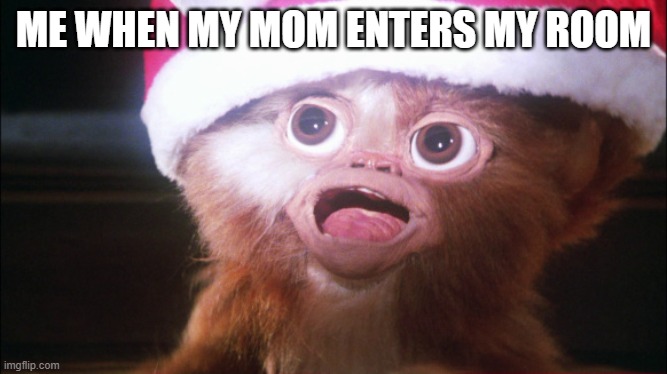 Mogwai bright lights | ME WHEN MY MOM ENTERS MY ROOM | image tagged in mogwai bright lights | made w/ Imgflip meme maker