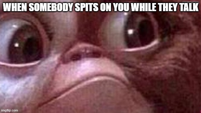 Gremlin Gizmo | WHEN SOMEBODY SPITS ON YOU WHILE THEY TALK | image tagged in gremlin gizmo | made w/ Imgflip meme maker