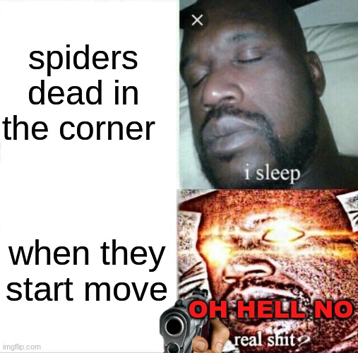 Sleeping Shaq Meme | spiders dead in the corner; when they start move; OH HELL NO | image tagged in memes,sleeping shaq | made w/ Imgflip meme maker