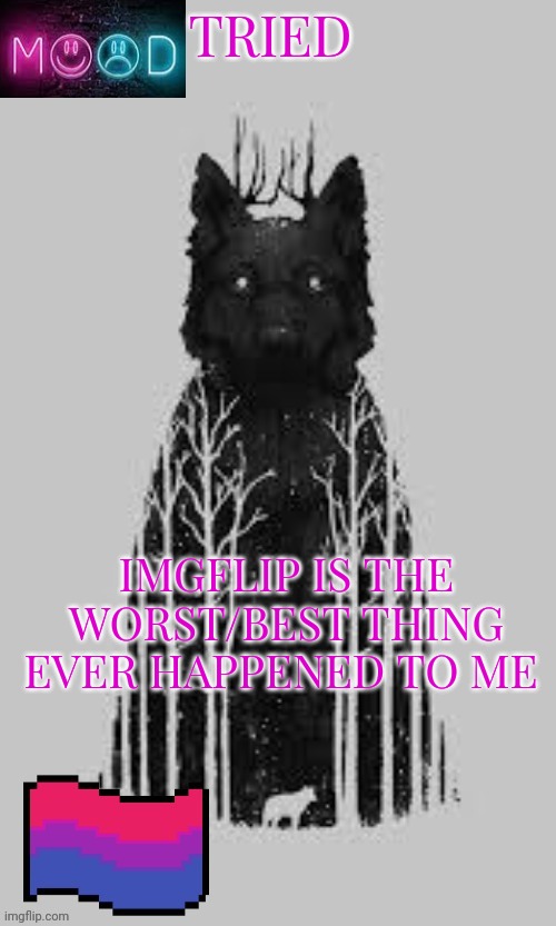 TRIED; IMGFLIP IS THE WORST/BEST THING EVER HAPPENED TO ME | made w/ Imgflip meme maker