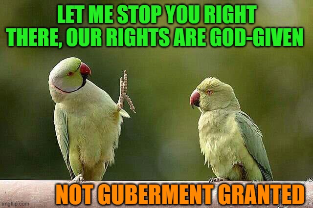 LET ME STOP YOU RIGHT THERE, OUR RIGHTS ARE GOD-GIVEN; NOT GUBERMENT GRANTED | image tagged in birds/fighting/arguing | made w/ Imgflip meme maker