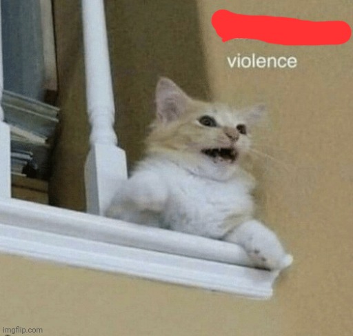 father, I crave violence cat | image tagged in father i crave violence cat | made w/ Imgflip meme maker