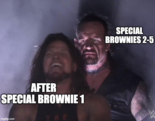 undertaker | SPECIAL BROWNIES 2-5; AFTER SPECIAL BROWNIE 1 | image tagged in undertaker,420,edibles | made w/ Imgflip meme maker