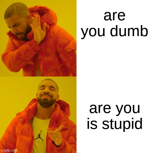 Drake Hotline Bling | are you dumb; are you is stupid | image tagged in memes,drake hotline bling | made w/ Imgflip meme maker