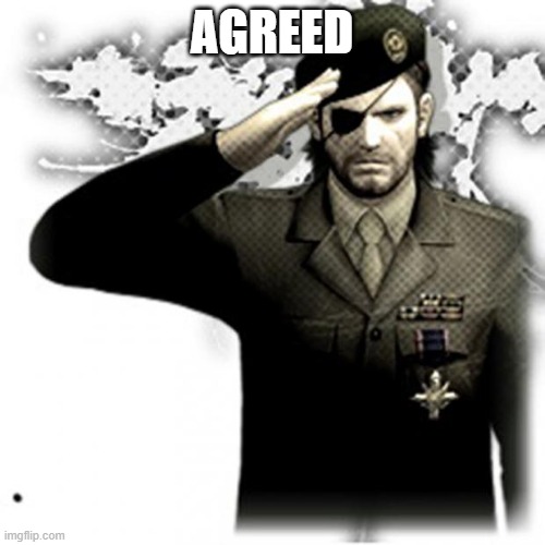 AGREED | image tagged in solid snake salute | made w/ Imgflip meme maker