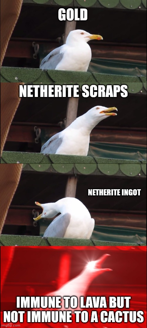 Inhaling Seagull | GOLD; NETHERITE SCRAPS; NETHERITE INGOT; IMMUNE TO LAVA BUT NOT IMMUNE TO A CACTUS | image tagged in memes,inhaling seagull | made w/ Imgflip meme maker