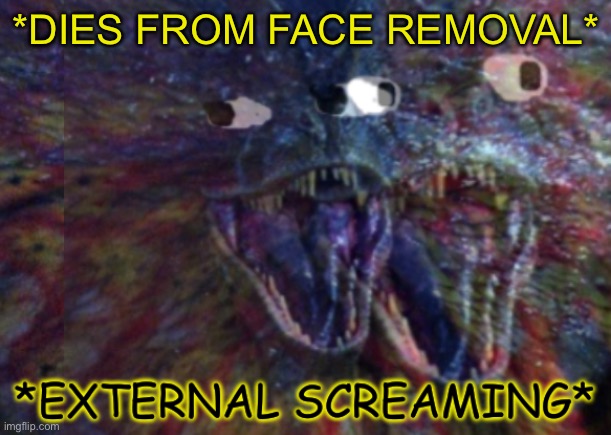 Public External Screaming | *DIES FROM FACE REMOVAL* | image tagged in public external screaming | made w/ Imgflip meme maker