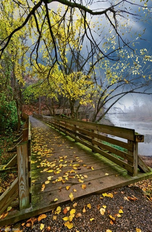 Fall bridge | image tagged in fall bridge | made w/ Imgflip meme maker