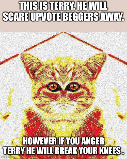 all hail terry | THIS IS TERRY. HE WILL SCARE UPVOTE BEGGERS AWAY. HOWEVER IF YOU ANGER TERRY HE WILL BREAK YOUR KNEES . | image tagged in cat,demon cat,funny,demon,aaaaaaaaaaaaaaaaaaaaaaaaa | made w/ Imgflip meme maker