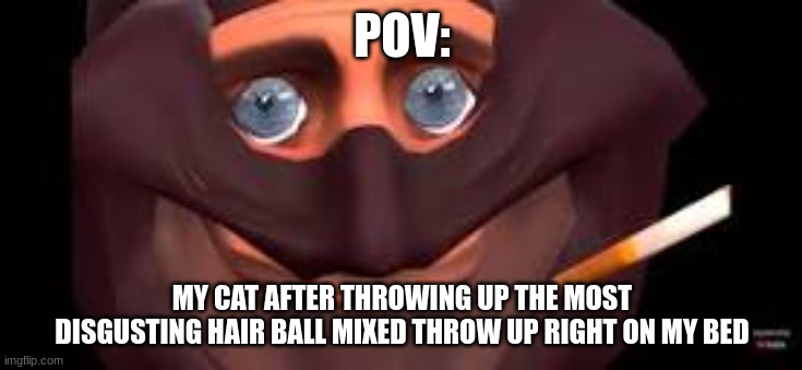 meiw | POV:; MY CAT AFTER THROWING UP THE MOST DISGUSTING HAIR BALL MIXED THROW UP RIGHT ON MY BED | image tagged in cat,funny,tf2 | made w/ Imgflip meme maker