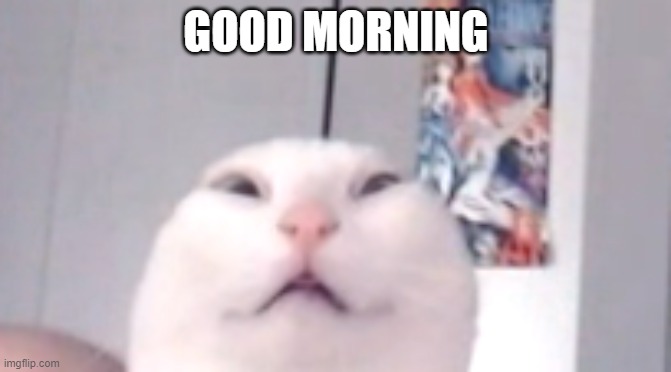 khat | GOOD MORNING | image tagged in funny | made w/ Imgflip meme maker