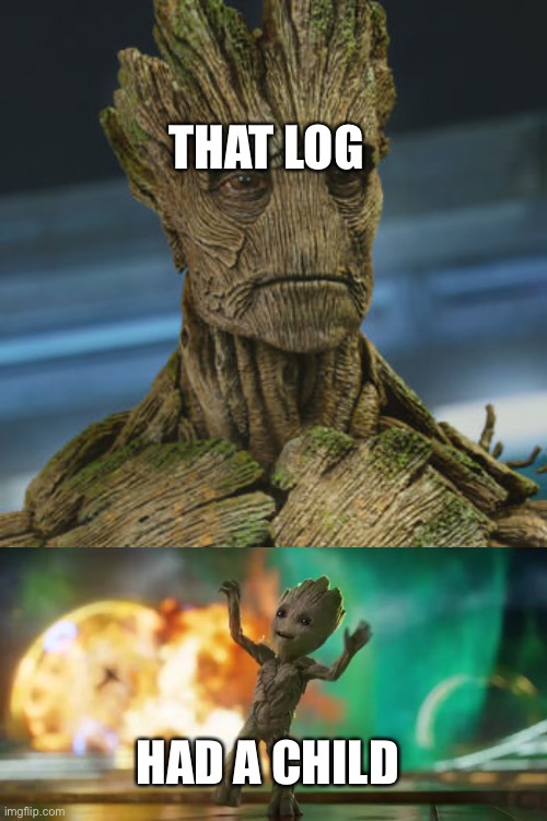  THAT LOG; HAD A CHILD | image tagged in i am groot,baby groot | made w/ Imgflip meme maker