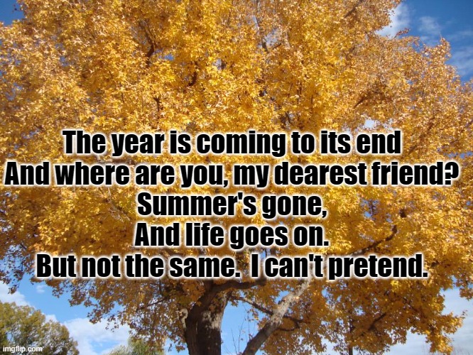 Autumn leaves | The year is coming to its end
And where are you, my dearest friend?
Summer's gone,
And life goes on.
But not the same.  I can't pretend. | image tagged in autumn leaves | made w/ Imgflip meme maker