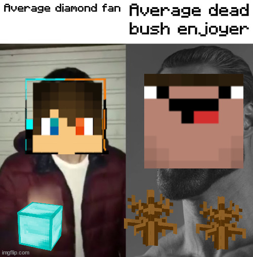 ExplodingTNT videos be like | Average dead bush enjoyer; Average diamond fan | image tagged in average fan vs average enjoyer,minecraft | made w/ Imgflip meme maker