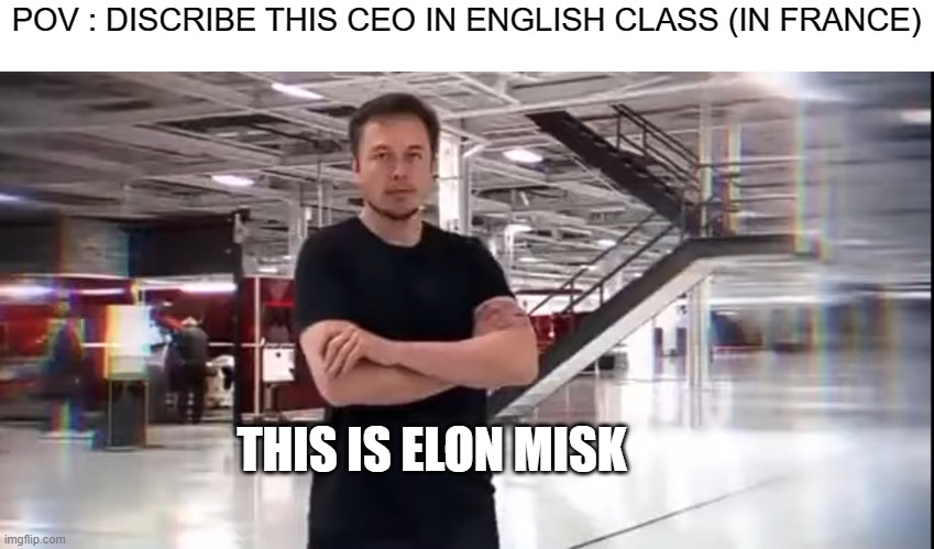 the best ceo ever | POV : DISCRIBE THIS CEO IN ENGLISH CLASS (IN FRANCE); THIS IS ELON MISK | image tagged in this is elon musk,english class,ceo,elon musk | made w/ Imgflip meme maker