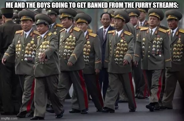 Oh Boy I'm so excited | ME AND THE BOYS GOING TO GET BANNED FROM THE FURRY STREAMS: | image tagged in medals everywhere | made w/ Imgflip meme maker