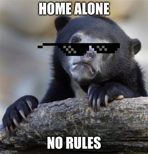Confession Bear | HOME ALONE; NO RULES | image tagged in memes,confession bear | made w/ Imgflip meme maker