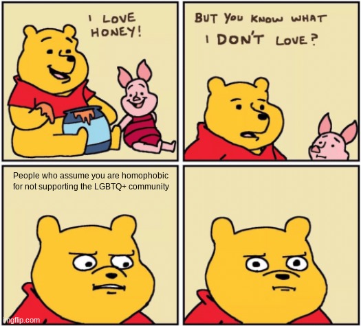 Seriously This Needs to Stop | People who assume you are homophobic for not supporting the LGBTQ+ community | image tagged in upset pooh | made w/ Imgflip meme maker