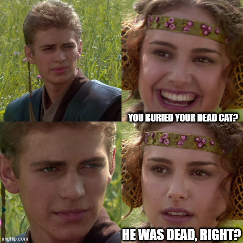 Anakin Padme 4 Panel | YOU BURIED YOUR DEAD CAT? HE WAS DEAD, RIGHT? | image tagged in anakin padme 4 panel | made w/ Imgflip meme maker