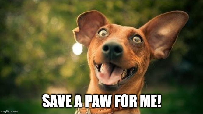excited dog are you here yet | SAVE A PAW FOR ME! | image tagged in excited dog are you here yet | made w/ Imgflip meme maker