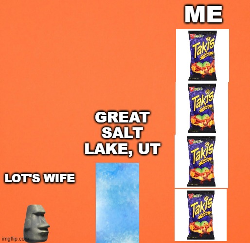 How salty I feel today | ME; GREAT SALT LAKE, UT; LOT'S WIFE | image tagged in blank orange,salty,mood | made w/ Imgflip meme maker