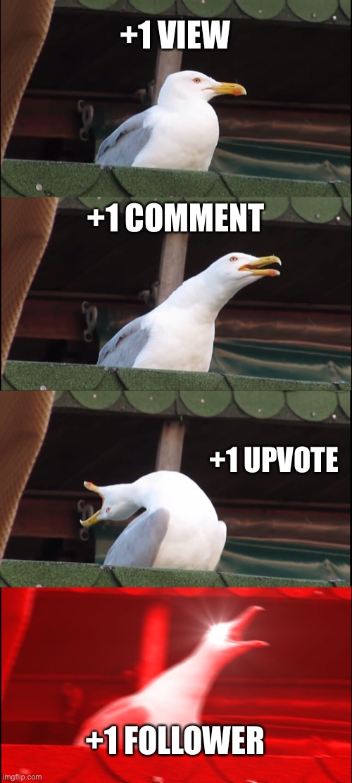 Idk | +1 VIEW; +1 COMMENT; +1 UPVOTE; +1 FOLLOWER | image tagged in memes,inhaling seagull,funny | made w/ Imgflip meme maker