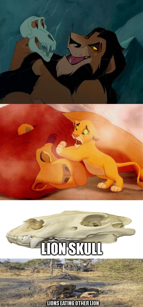 oh no music plays | LION SKULL; LIONS EATING OTHER LION | image tagged in mufasa death | made w/ Imgflip meme maker