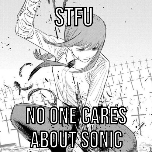 Stfu No one cares about sonic | made w/ Imgflip meme maker