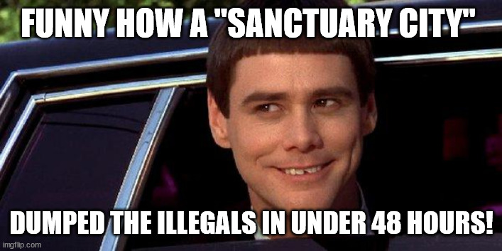 dumb and dumber | FUNNY HOW A "SANCTUARY CITY" DUMPED THE ILLEGALS IN UNDER 48 HOURS! | image tagged in dumb and dumber | made w/ Imgflip meme maker