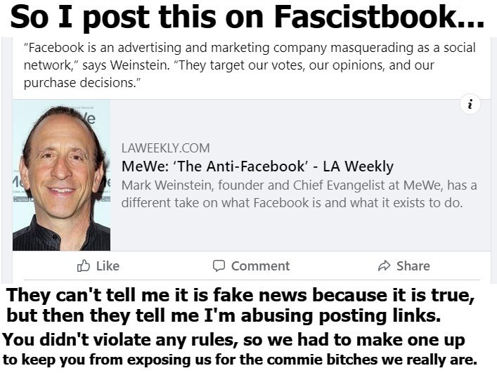 So I post this on Fascistbook... | image tagged in fascistbook,facebook,hypocrites,liberal hypocrisy,mewe,the anti facebook | made w/ Imgflip meme maker