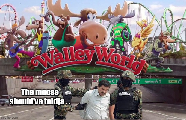 The moose should've toldja . . | made w/ Imgflip meme maker