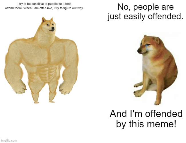 Easily Offended? |  I try to be sensitive to people so I don't offend them. When I am offensive, I try to figure out why. No, people are just easily offended. And I'm offended by this meme! | image tagged in memes,buff doge vs cheems,offensive,no offense,wait a minute,compassion | made w/ Imgflip meme maker