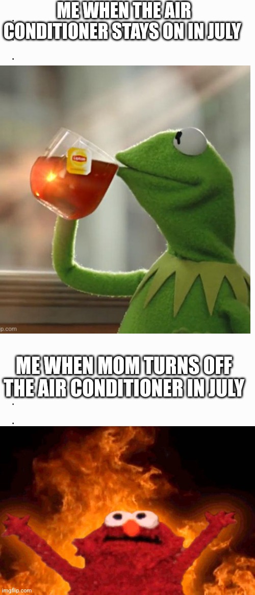 Sweated a gallon. What about you? | ME WHEN THE AIR CONDITIONER STAYS ON IN JULY; ME WHEN MOM TURNS OFF THE AIR CONDITIONER IN JULY | image tagged in memes,kermit the frog,elmo fire,summer,sweaty | made w/ Imgflip meme maker