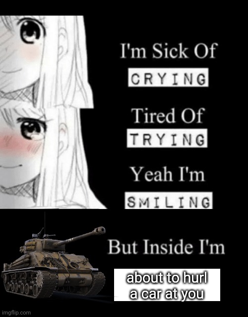 Sherman go brrrrrrrt | about to hurl a car at you | image tagged in i'm sick of crying | made w/ Imgflip meme maker
