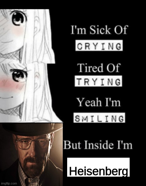 308 Negra Arroyo Lane, Albuquerque New Mexico 87104 (actual address of walter white) | Heisenberg | image tagged in i'm sick of crying | made w/ Imgflip meme maker