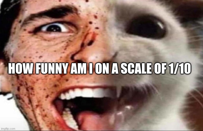 american psycho cat | HOW FUNNY AM I ON A SCALE OF 1/10 | image tagged in american psycho cat | made w/ Imgflip meme maker