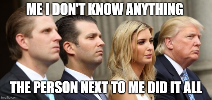 trump and kids | ME I DON'T KNOW ANYTHING; THE PERSON NEXT TO ME DID IT ALL | image tagged in trump and kids | made w/ Imgflip meme maker