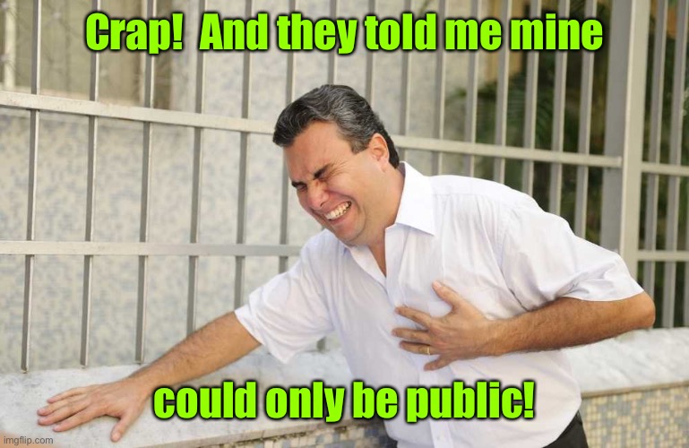 ouch | Crap!  And they told me mine could only be public! | image tagged in ouch | made w/ Imgflip meme maker