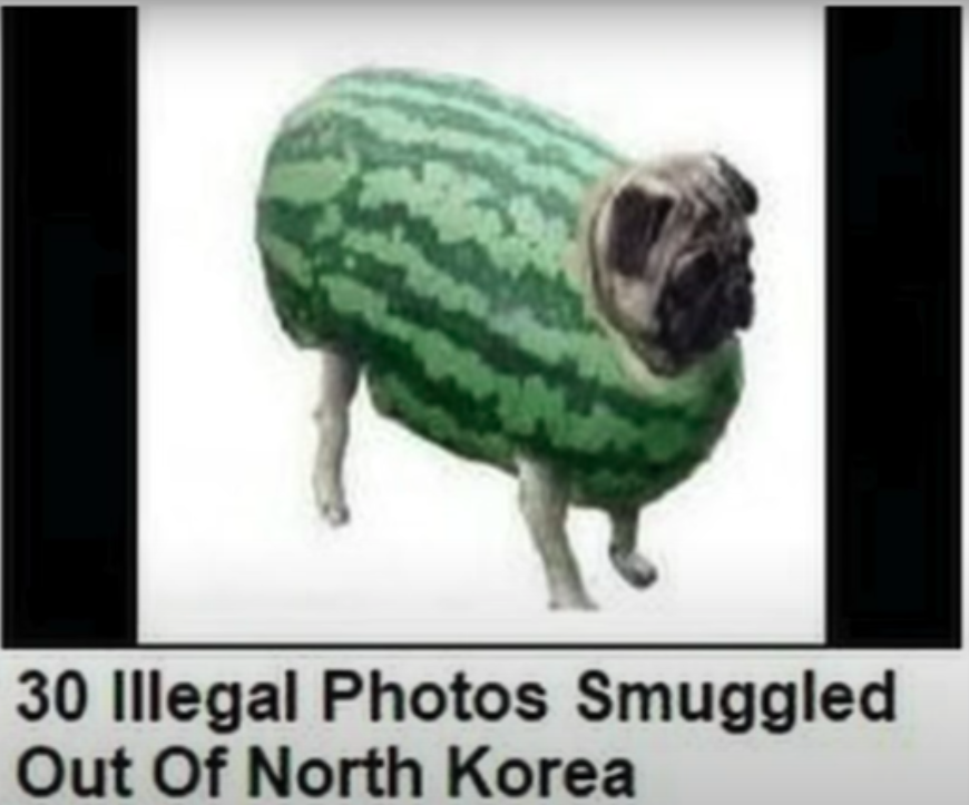 30 Illegal photos Smuggles Out of North Korea Blank Meme Template
